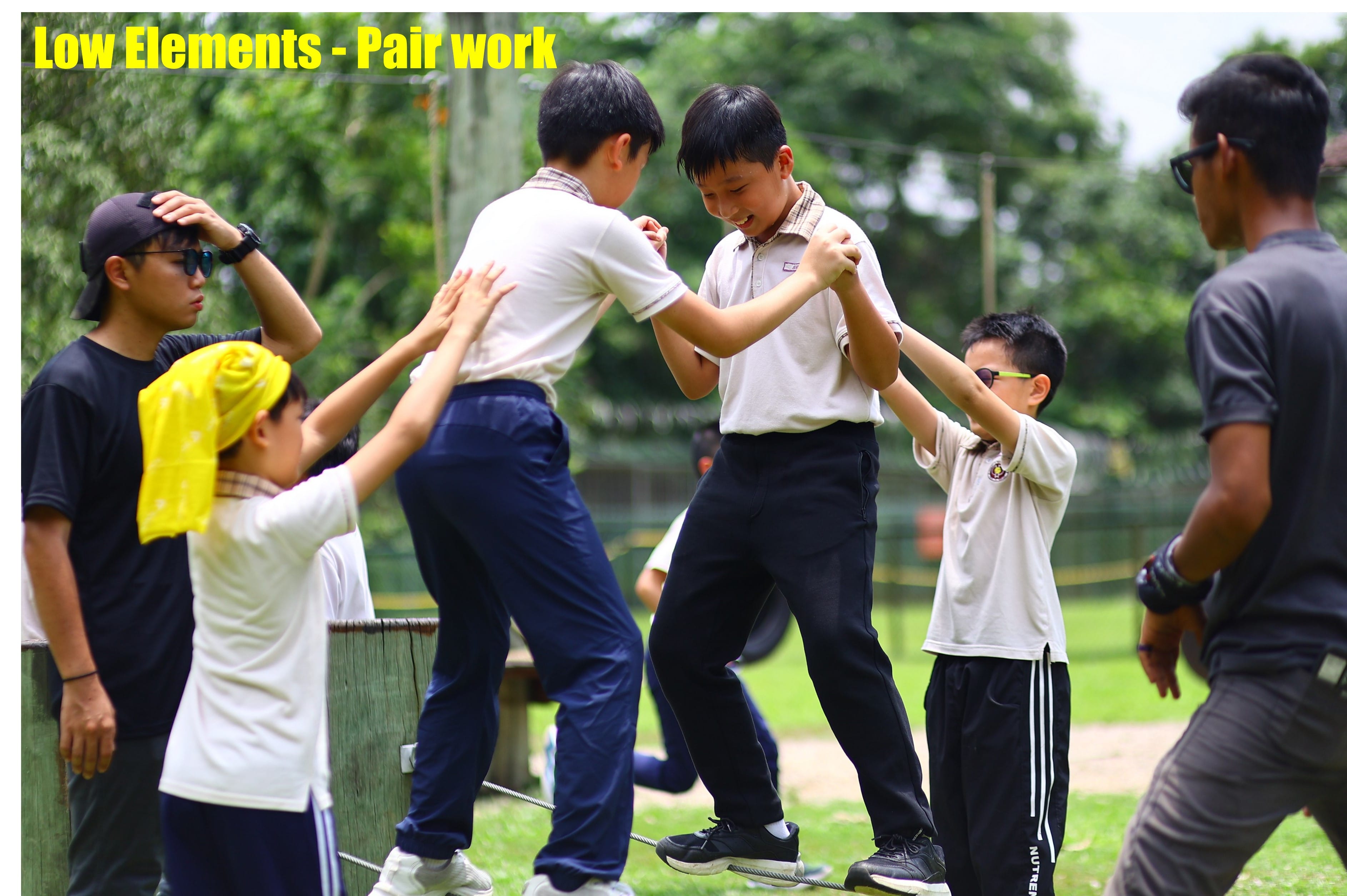 Pair work on the low elements